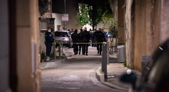 Franzoesische Polizei erschiesst Mann mit Hackbeil der sie bedroht hat