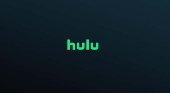 Hulu leitet sein eigenes Vorgehen gegen die Weitergabe von Passwoertern