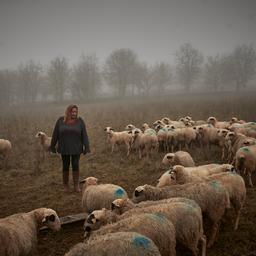 Landwirte in vier grossen europaeischen Laendern mussten im vergangenen Jahr