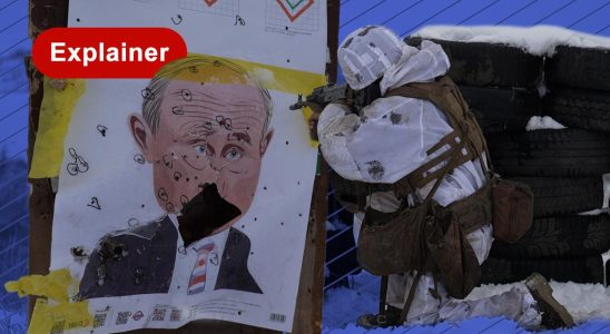Mit Putin als Zielscheibe trainieren ukrainische Soldaten fuer den Angriff