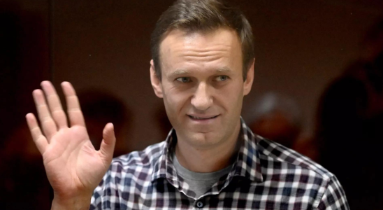 Nawalnys Verbuendeter fordert die Russen auf sich den Protesten am