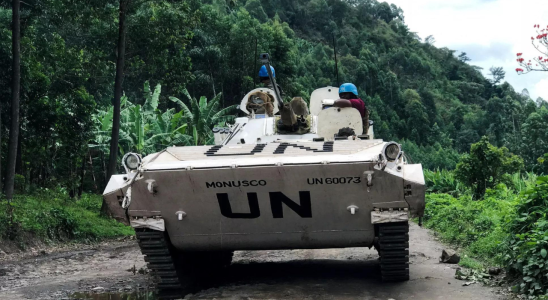 Neueste Nachrichten Zwei UN Truppen bei Rebellenangriffen in der Demokratischen Republik