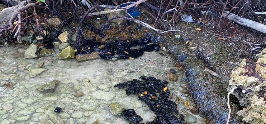 Oel aus gekentertem Schiff verschmutzt die Ostkueste von Bonaire
