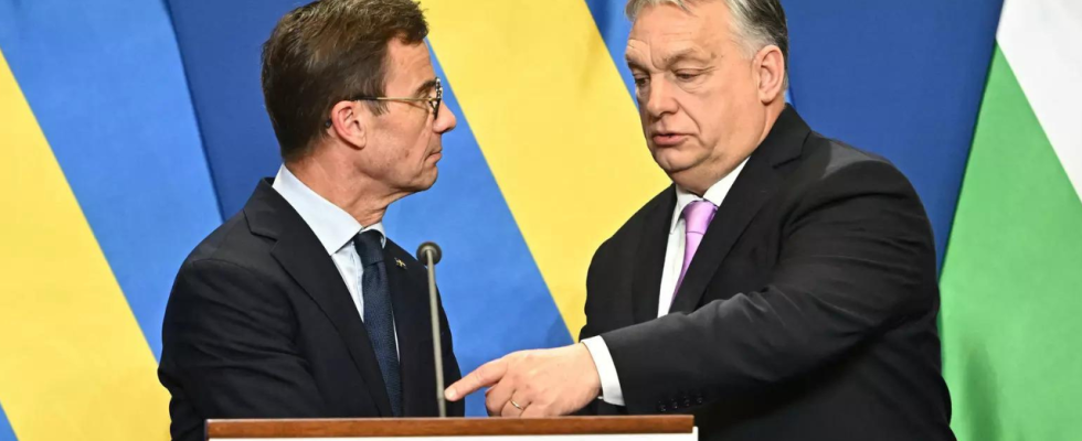 Schwedens Antrag auf NATO Beitritt wird von Ungarn genehmigt Weltnachrichten