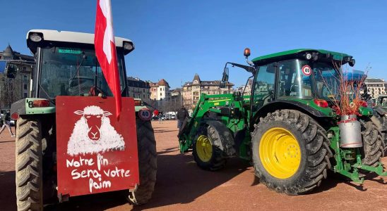 Schweizer Bauern protestieren gegen niedrige Lebensmittelpreise