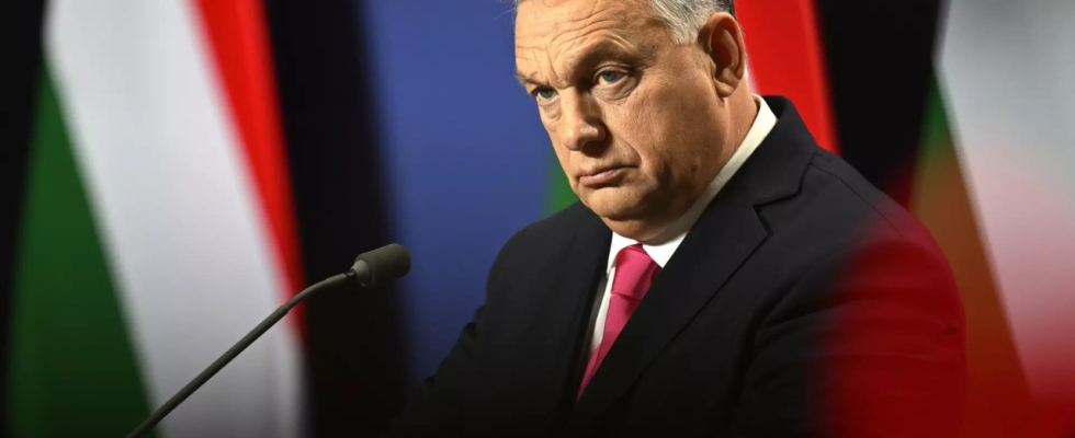 US Gesetzgeber wollen dass Ungarn die NATO Mitgliedschaft Schwedens unterstuetzt Weltnachrichten