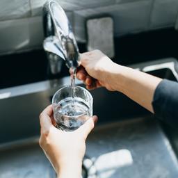Vitens CEO Niederlaender muessen anders mit Trinkwasser umgehen Wirtschaft
