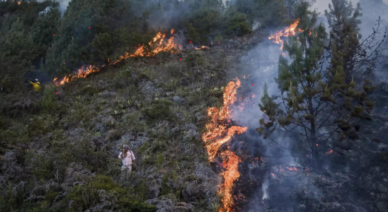 Waldbraende in Chile Zahl der Todesopfer erreicht 123 bei der