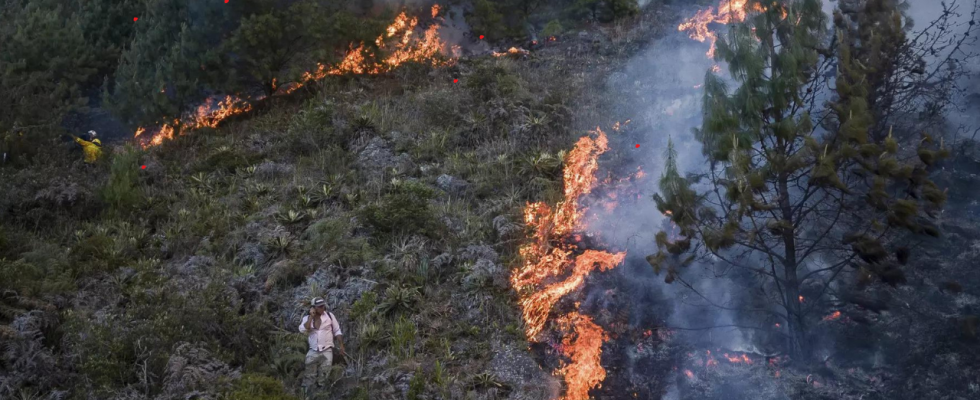 Waldbraende in Chile Zahl der Todesopfer erreicht 123 bei der