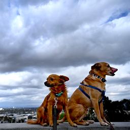 Wettervorhersage Der Tag beginnt grau aber nach Regen kommt Sonnenschein