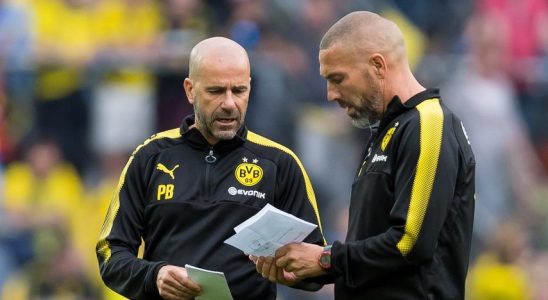 Wie PSV Trainer Bosz in Dortmund schnell starb „Spieler liessen es