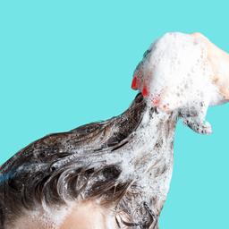 Wie oft sollten Sie Ihre Haare waschen Lebe intelligenter