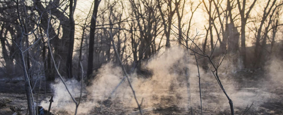 Wildfire entwickelt sich zum zweitgroessten Brand in der Geschichte von