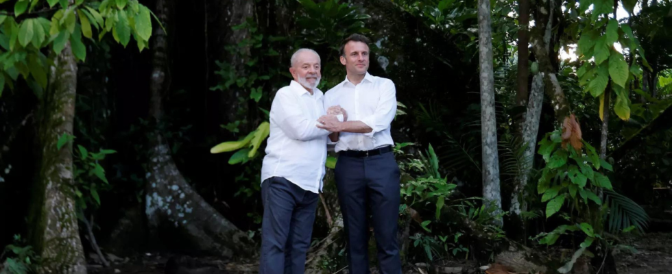 Brasilien und Frankreich kuendigen Amazon Investitionsplan in Hoehe von 1 Milliarde