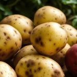 Der Vorschlag der US Regierung Kartoffeln in Getreide umzuklassifizieren loest bei