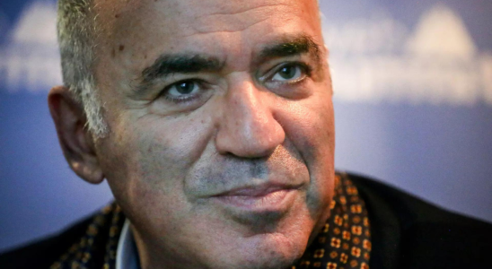 Der fruehere Schachweltmeister Kasparov wurde auf die russische Liste der