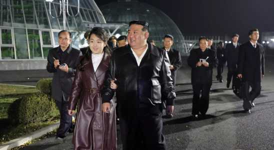 Der grosse Nachfolger Wer ist Nordkoreas Kim Ju Ae