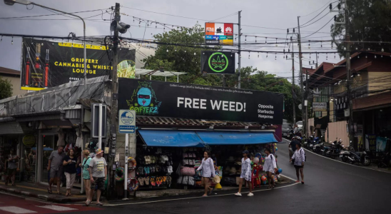 Die thailaendische Cannabiskultur koennte ein Ende finden wenn die Regierung