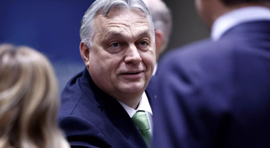 Ehemaliger Insider verspricht Orbans „Energiefabrik in Ungarn herauszufordern