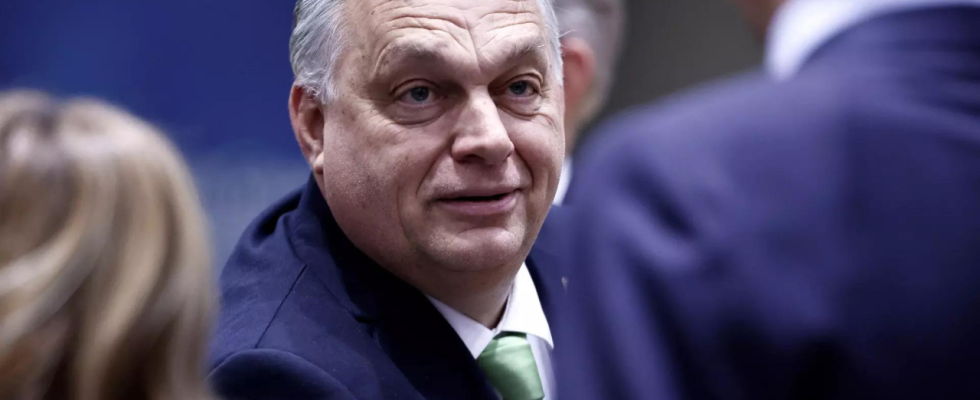 Ehemaliger Insider verspricht Orbans „Energiefabrik in Ungarn herauszufordern