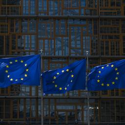 Europa zieht die Zuegel an Strengere Regeln fuer sechs groesste
