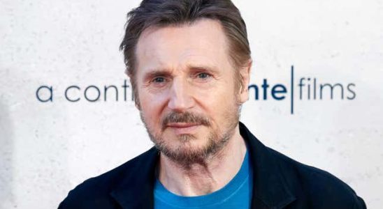 Ob es Ihnen gefaellt oder nicht Liam Neesons Naked Gun Remake