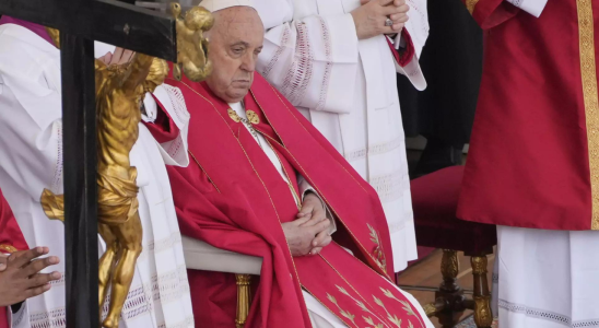 Papst laesst die Predigt am Palmsonntag aus setzt den Gottesdienst