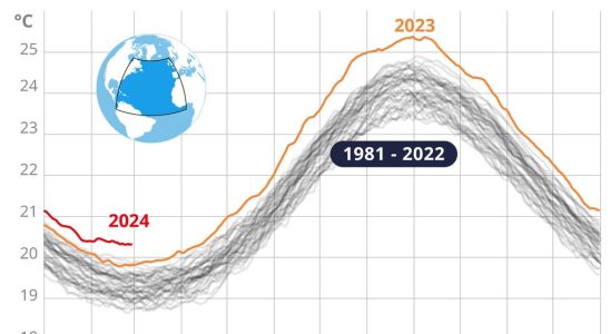 Rekordhitze in den Ozeanen seit einem Jahr „Anzeichen dafuer dass