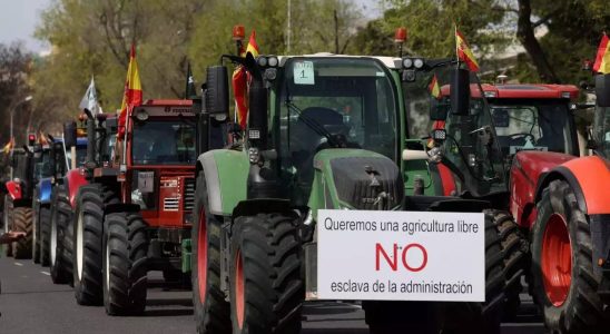 Spanische Bauern protestieren erneut in Madrid