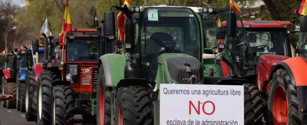 Spanische Bauern protestieren erneut in Madrid