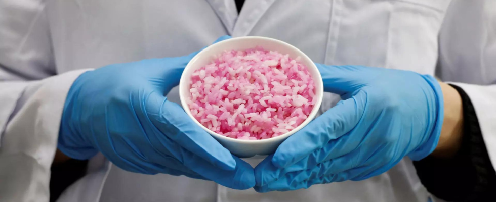Suedkoreanische Wissenschaftler zuechten Rinderzellen in Reis als Proteinalternative