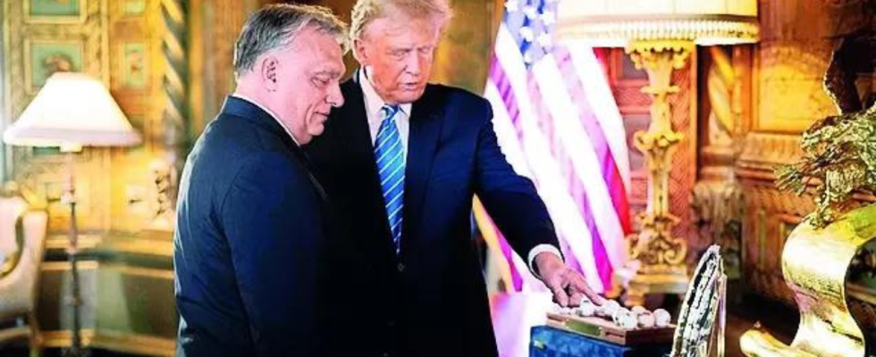 Trump empfaengt den populistischen Premierminister Ungarns in seinem Haus in