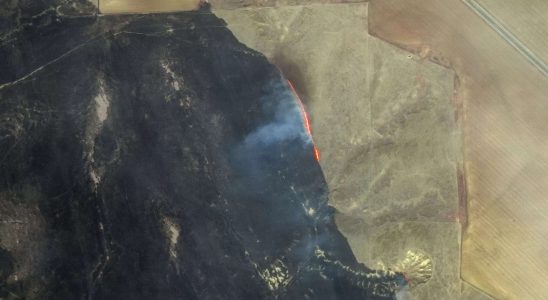 Waldbrand in Texas Groesster Brand in der Geschichte von Texas