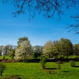 Wettervorhersage Der Freitag beginnt sonnig am Nachmittag ziehen im