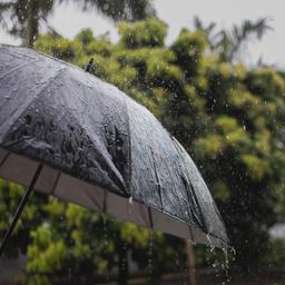 Wettervorhersage Einziger Regentag in einer Woche mit Fruehlingswetter