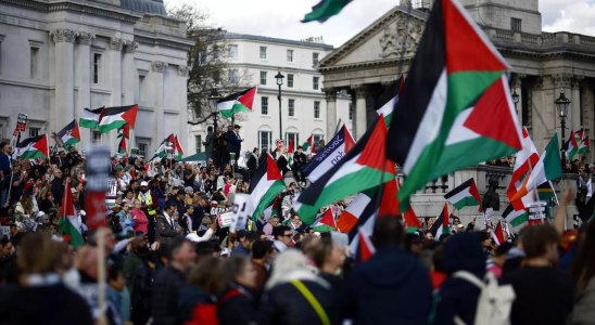 „Freies Palaestina Demonstranten die einen Waffenstillstand in Gaza fordern unterbrechen