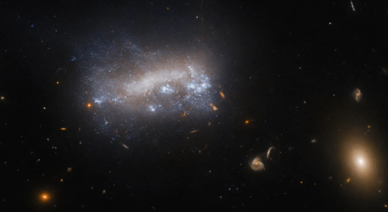„Staudruck kann Sterne erzeugen NASA erfasst Virgo Galaxienhaufen