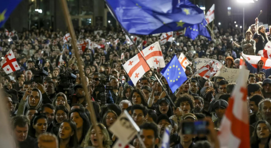 20000 Demonstration in Georgia waehrend Abgeordnete umstrittenes Gesetz zur „auslaendischen Einflussnahme
