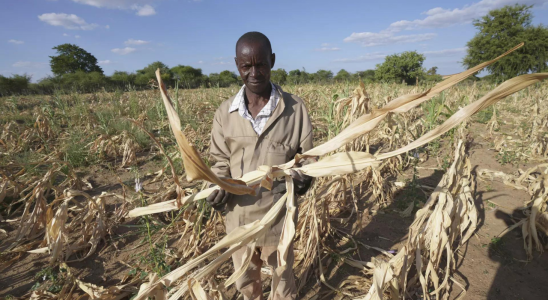 Afrikanische Landwirte blicken in die Vergangenheit und in die Zukunft