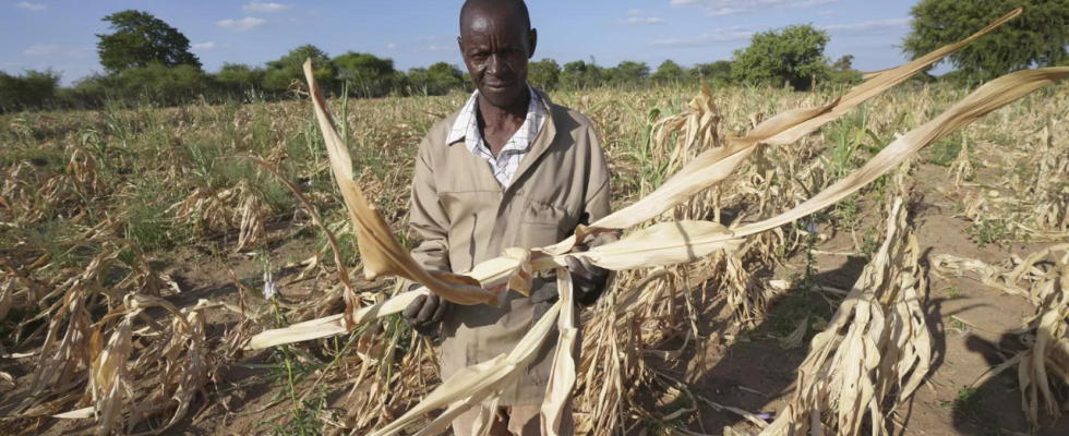 Afrikanische Landwirte blicken in die Vergangenheit und in die Zukunft