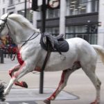 Blutueberstroemte Pferde laufen im Zentrum von London Amok VIDEO –