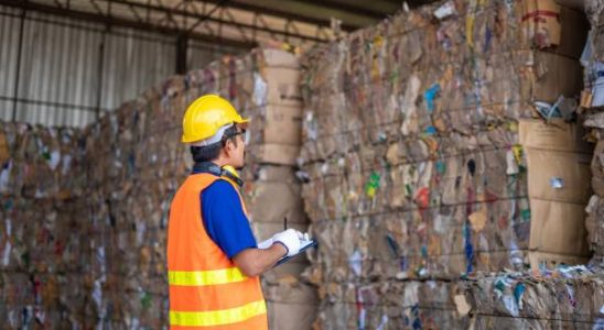 CleanFiber will Millionen Tonnen Kartons in Isolierung verwandeln
