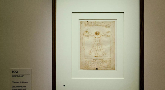 Da Vinci ist seit 500 Jahren tot Wer profitiert von