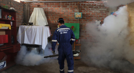 Die Dengue Todesfaelle in Peru verdreifachen sich da der Klimawandel die