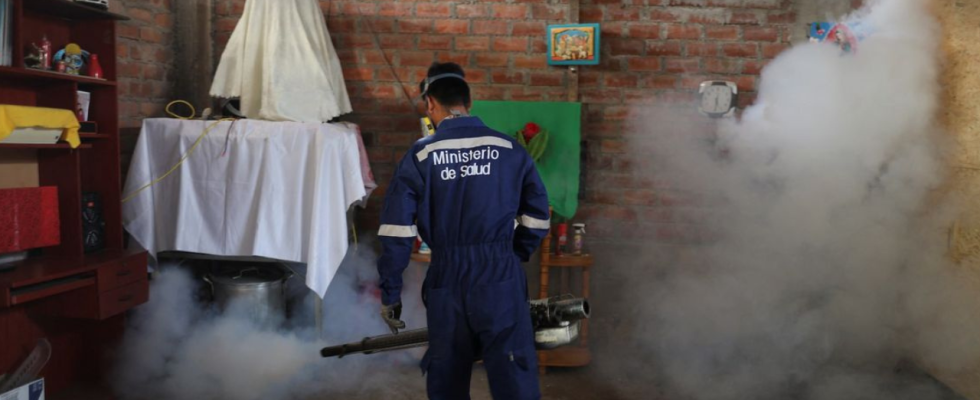 Die Dengue Todesfaelle in Peru verdreifachen sich da der Klimawandel die