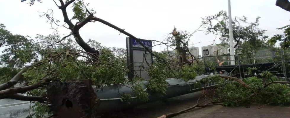 Drei werden aus Wohnungen „ausgesaugt als taifunartige Winde Suedchina verwuesten