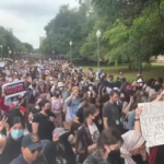 Dutzende bei Pro Palaestina Protesten in den USA festgenommen VIDEO – World