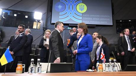 Ehemaliger stellvertretender NATO Chef warnt vor ukrainischer Mitgliedschaft – World