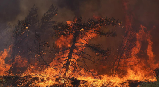 Griechenland loest angesichts frueher Braende die Waldbrandwarnung aus