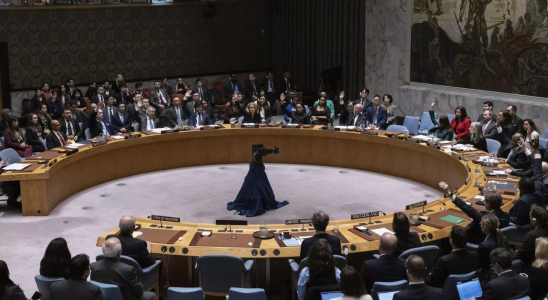 Iran und Pakistan fordern den UN Sicherheitsrat auf Massnahmen gegen Israel